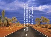 开云APP-蓝衣军团的黄昏，2026世界杯H组关键战，秘鲁高压逼抢压制意大利，佩德里以中场统治力带队逆转取胜
