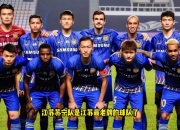 开云-入球狂热：广州富力大胜江苏苏宁，雄踞积分榜前列的简单介绍