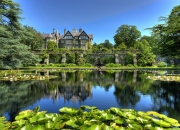 开云体育入口-双城记·平行篮球宇宙，哈利伯顿创纪录之夜与国王队血拼深圳的时空共振