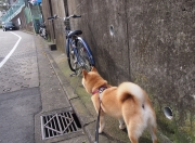 开云体育app-黄蜂轻取马刺背后，戈贝尔，那个决定比赛天平的无名砝码