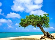 开云平台-新星崛起与旧秩序震颤，奥运足球版图的重构前夜