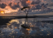 开云体育中国-韩国对阵曼联，凯塞多的决定性表演