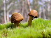 开云体育登录-钢铁是这样炼成的，贝恩狂飙40分，深圳加时力克76人