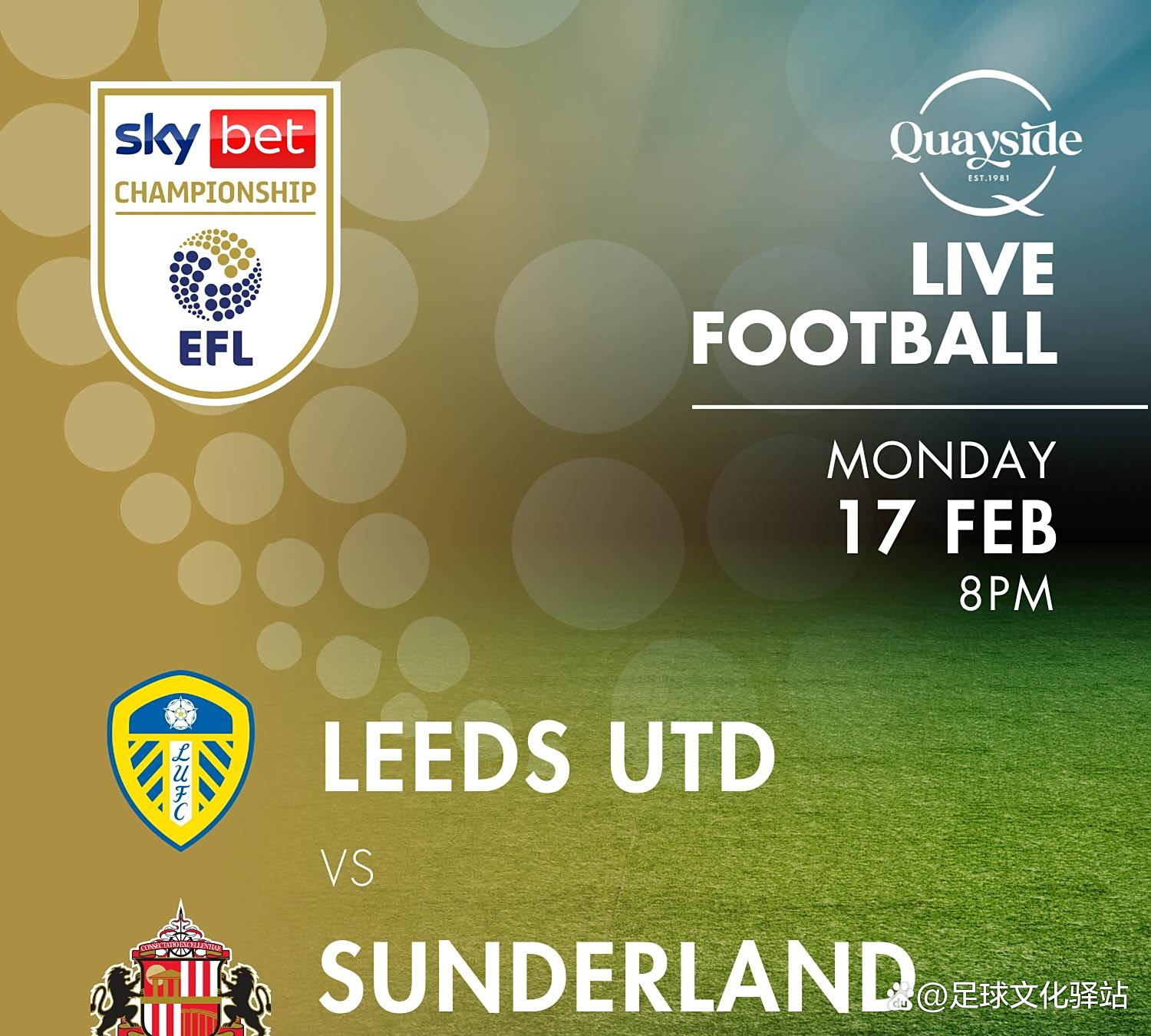 利兹联迎战桑德兰，实力对比的简单介绍