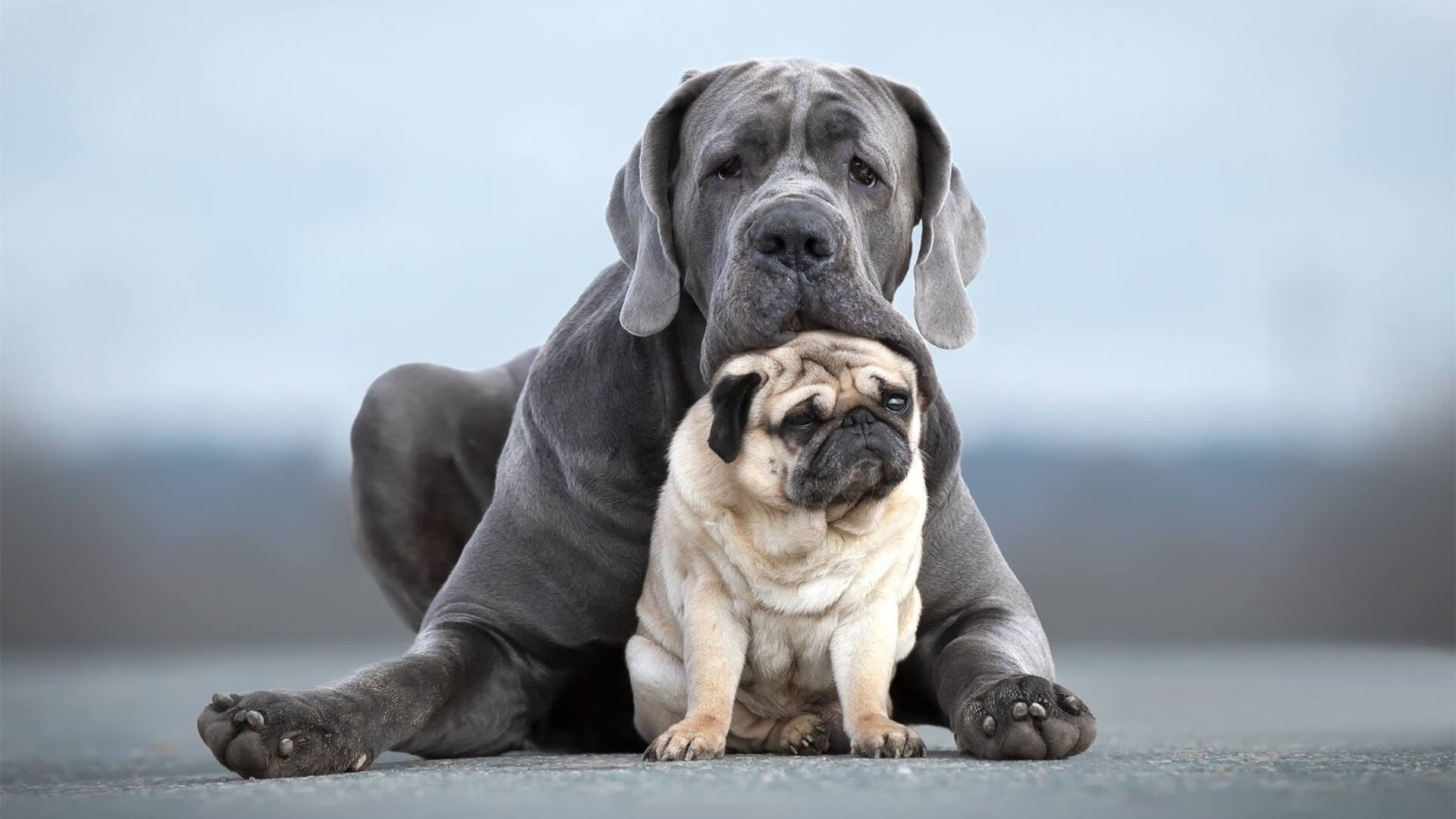 冰火之间的唯一闪光,恩佐如何用一脚球洞穿瑞典与波兰的宿命枷锁