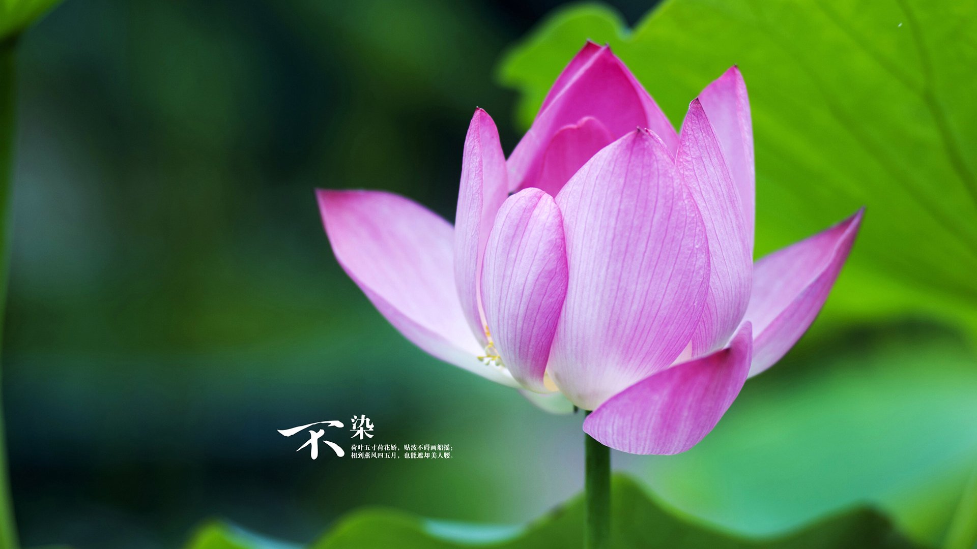 逆流而上,喀麦隆的铩羽与比利时冷血进击背后的奥运生存法则