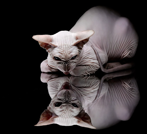 篮球场上的绿茵风暴，马里季后赛式胜利击溃洪都拉斯