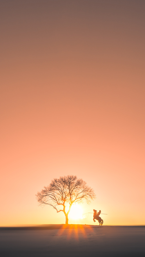 霍勒迪统治级数据接管比赛,热火客场爆冷掀翻猛龙
