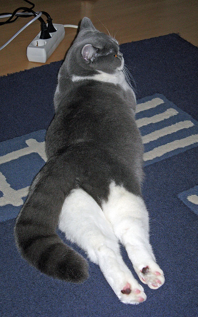 暗夜流光，帕尔默在街道迷宫中刻下的独一印记