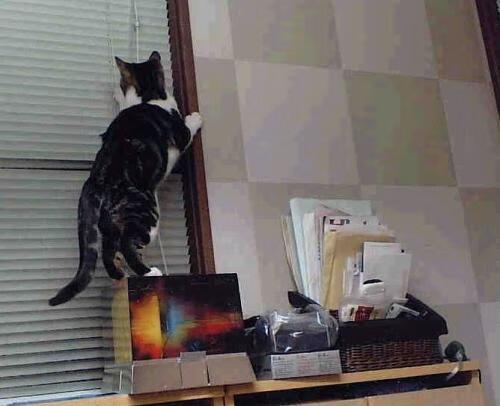 久保建英征服意甲焦点战，全场最佳荣耀无争议