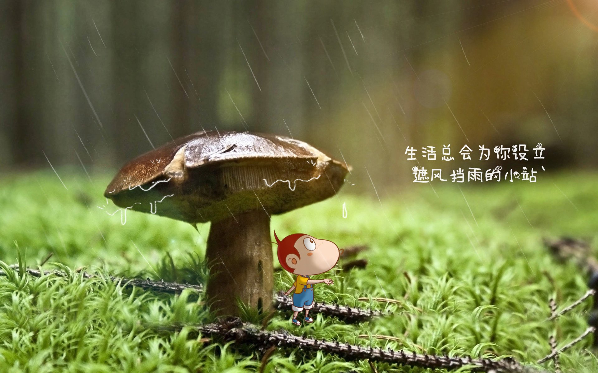 中亚铁骑与南美红焰,塔雷米在2026世界杯E组的迭起风云,一剑封喉的唯一剧本